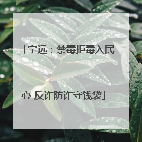 宁远：禁毒拒毒入民心 反诈防诈守钱袋