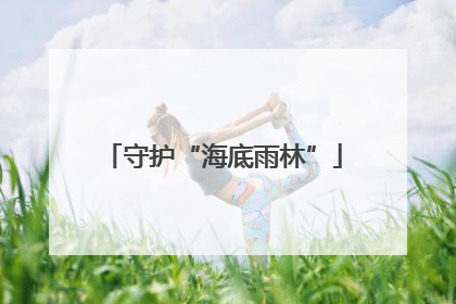 守护“海底雨林”