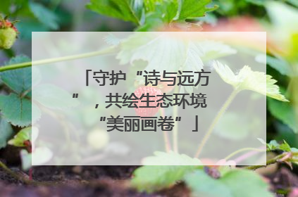 守护“诗与远方”，共绘生态环境“美丽画卷”