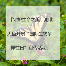 守护生命之美，湖北大悟开展“国际生物多样性日”宣传活动