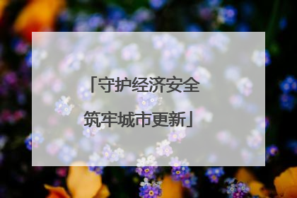 守护经济安全 筑牢城市更新