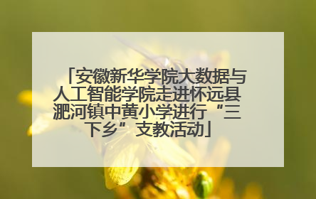 安徽新华学院大数据与人工智能学院走进怀远县淝河镇中黄小学进行“三下乡”支教活动