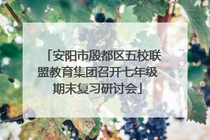 安阳市殷都区五校联盟教育集团召开七年级期末复习研讨会