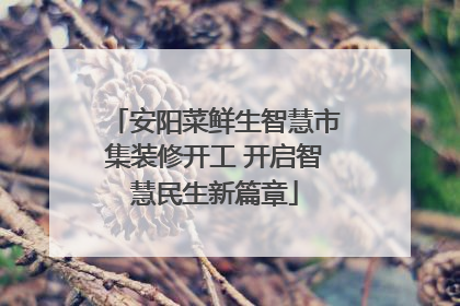 安阳菜鲜生智慧市集装修开工 开启智慧民生新篇章