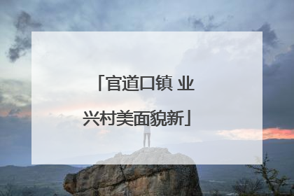 官道口镇 业兴村美面貌新