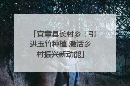 宜章县长村乡：引进玉竹种植 激活乡村振兴新动能
