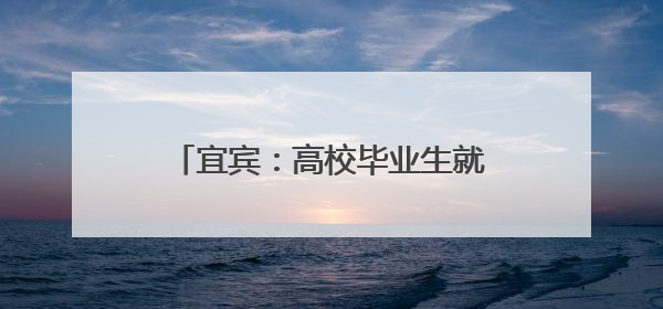 宜宾：高校毕业生就业去向落实率连续三年居全省第一梯队