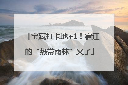 宝藏打卡地+1！宿迁的“热带雨林”火了