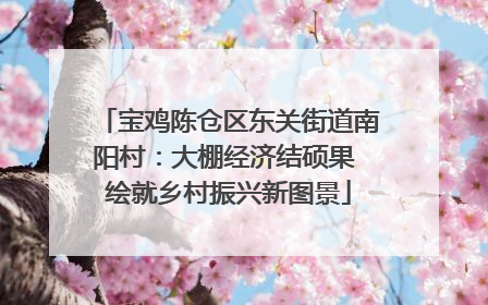 宝鸡陈仓区东关街道南阳村：大棚经济结硕果 绘就乡村振兴新图景
