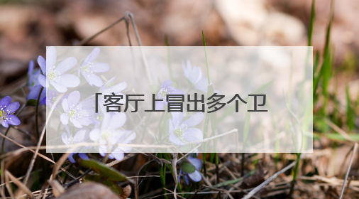 客厅上冒出多个卫生间、厨房，出租房如此改，楼下业主投诉：多少不舒服