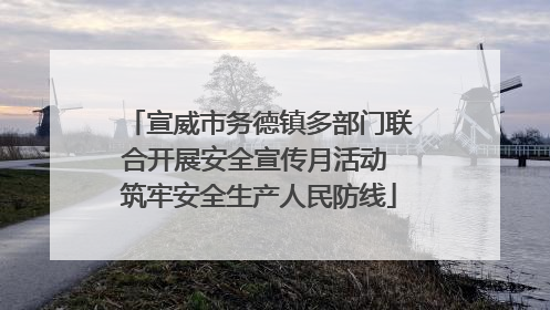 宣威市务德镇多部门联合开展安全宣传月活动 筑牢安全生产人民防线