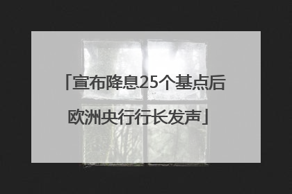宣布降息25个基点后 欧洲央行行长发声