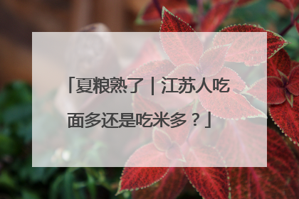 夏粮熟了｜江苏人吃面多还是吃米多？