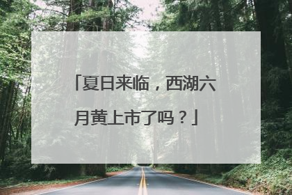 夏日来临，西湖六月黄上市了吗？