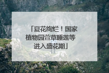 夏花绚烂！国家植物园萱草睡莲等进入盛花期