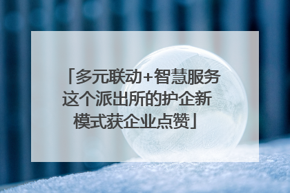 多元联动+智慧服务 这个派出所的护企新模式获企业点赞