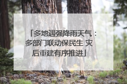 多地遇强降雨天气：多部门联动保民生 灾后重建有序推进