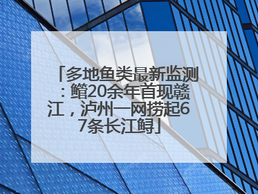 多地鱼类最新监测：鳤20余年首现赣江，泸州一网捞起67条长江鲟