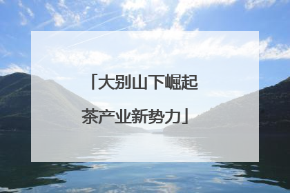 大别山下崛起茶产业新势力