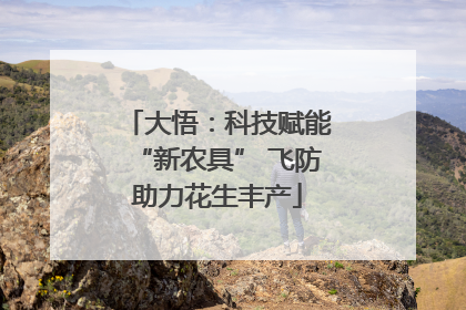 大悟：科技赋能“新农具” 飞防助力花生丰产