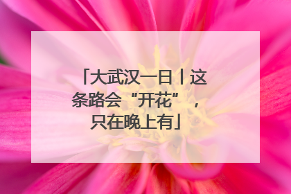 大武汉一日丨这条路会“开花”，只在晚上有