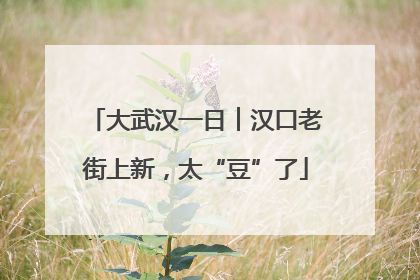 大武汉一日︱汉口老街上新，太“豆”了