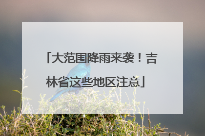 大范围降雨来袭！吉林省这些地区注意