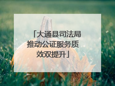 大通县司法局推动公证服务质效双提升