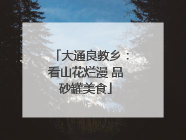 大通良教乡：看山花烂漫 品砂罐美食