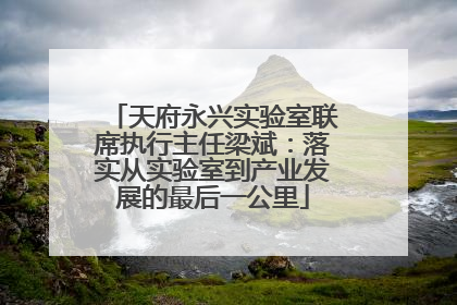 天府永兴实验室联席执行主任梁斌：落实从实验室到产业发展的最后一公里