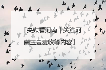 央媒看河南｜关注河南三夏麦收等内容
