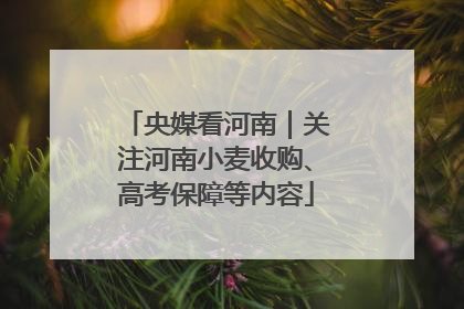央媒看河南｜关注河南小麦收购、高考保障等内容