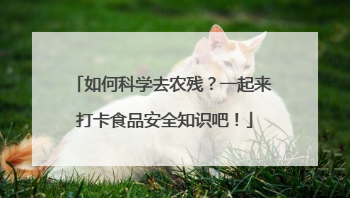 如何科学去农残？一起来打卡食品安全知识吧！