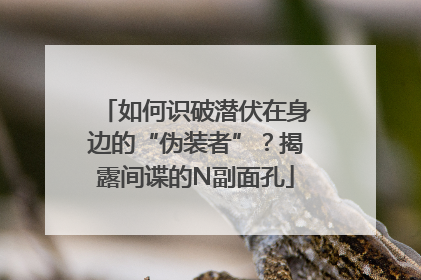 如何识破潜伏在身边的“伪装者”？揭露间谍的N副面孔
