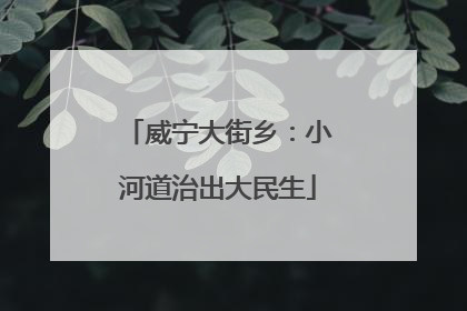 威宁大街乡：小河道治出大民生