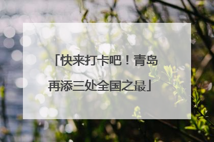 快来打卡吧！青岛再添三处全国之最