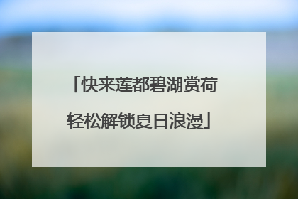 快来莲都碧湖赏荷 轻松解锁夏日浪漫
