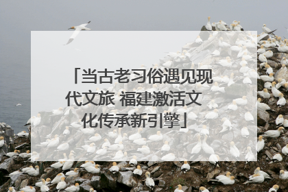 当古老习俗遇见现代文旅 福建激活文化传承新引擎