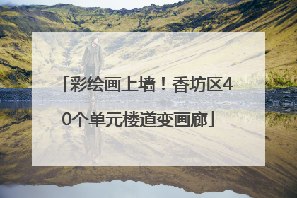 彩绘画上墙！香坊区40个单元楼道变画廊