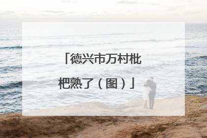 德兴市万村枇杷熟了（图）