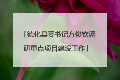德化县委书记方俊钦调研重点项目建设工作