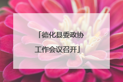 德化县委政协工作会议召开