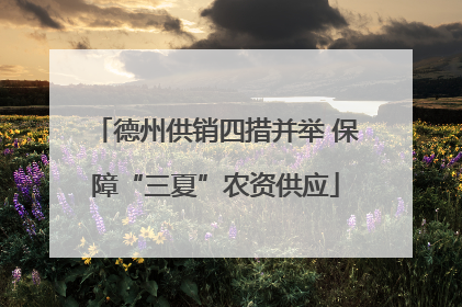 德州供销四措并举 保障“三夏”农资供应