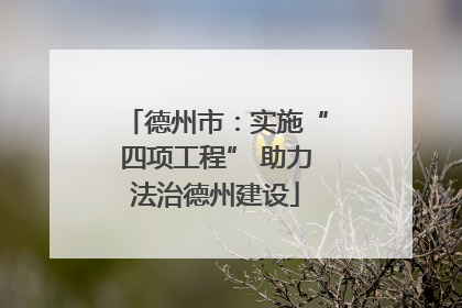 德州市：实施“四项工程” 助力法治德州建设
