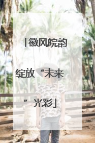 徽风皖韵绽放“未来”光彩