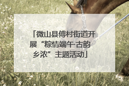 微山县傅村街道开展“粽情端午·古韵乡浓”主题活动