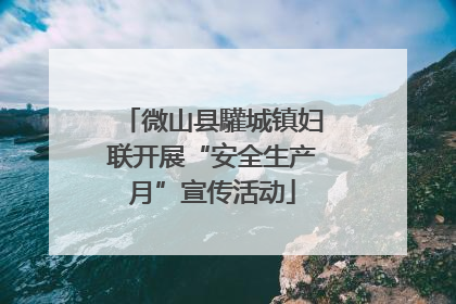 微山县驩城镇妇联开展“安全生产月”宣传活动
