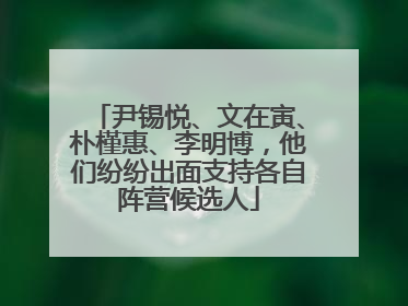 尹锡悦、文在寅、朴槿惠、李明博，他们纷纷出面支持各自阵营候选人