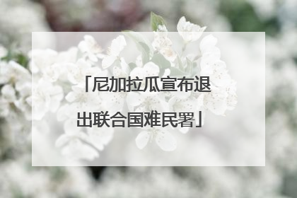 尼加拉瓜宣布退出联合国难民署