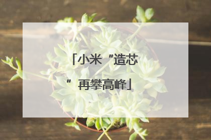 小米“造芯”再攀高峰